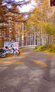 こんな感じの道を下ります 20091022104311