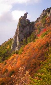 20091022110719