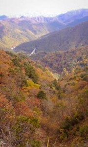 20091022111618