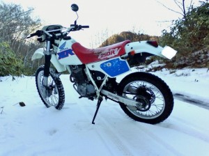 xlr250